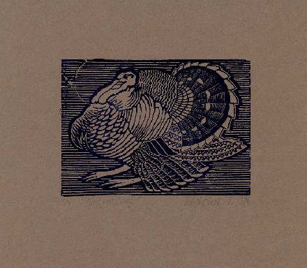 Turkey - cock